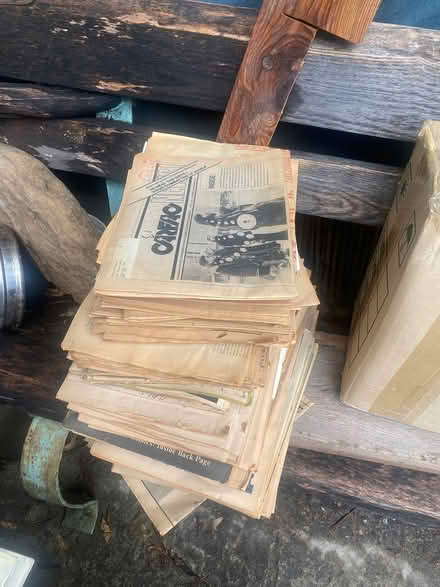 Photo of free Historical print women,arts,culture (Toronto) #2