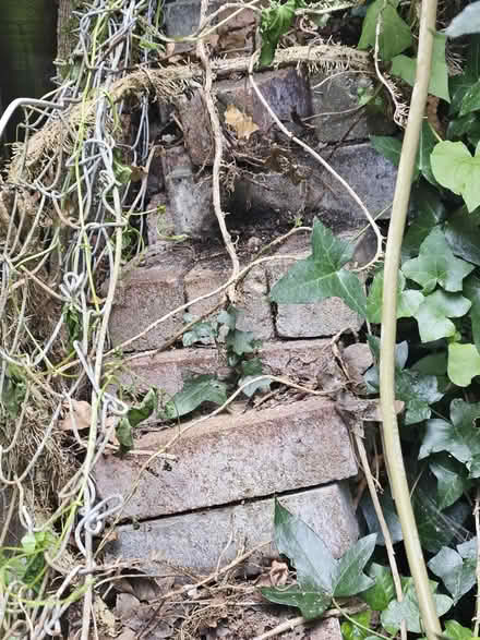 Photo of free Roof tiles and bricks (Curdridge) #3