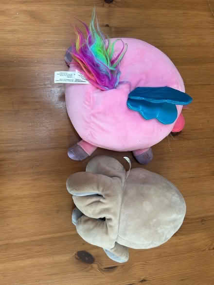 Photo of free Two soft toy/teddies (Shenley Fields B29) #2