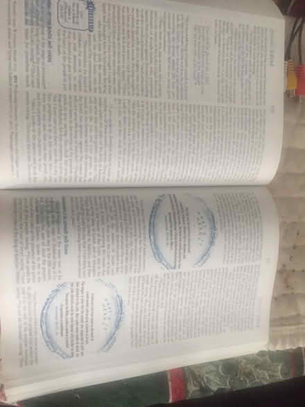 Photo of free Teen bible (Brighten village drive) #1