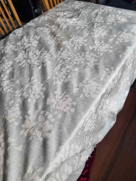 Photo of free Curtains pair (SE20) #1