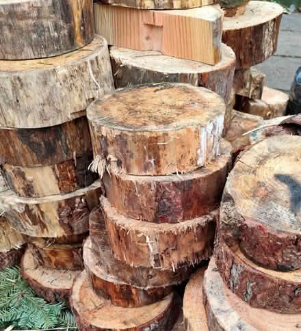Photo of wood slices (Hammersmith) #1