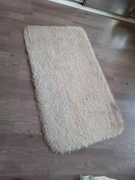 Photo of free Sheepskin rug (St. Agnes TR5) #1