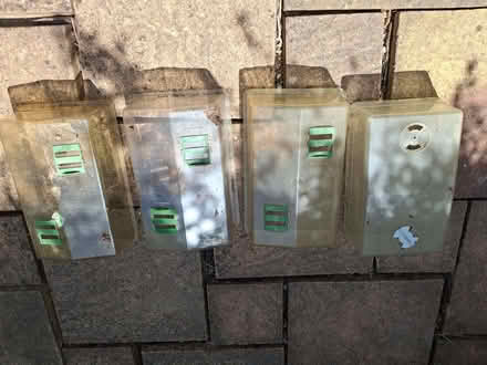 Photo of free Seed Tray Covers (Rusthall TN3) #1