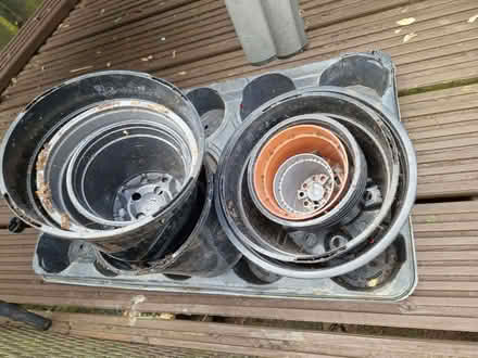 Photo of free Empty plant pots (Ware SG12) #1