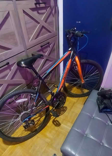 Photo of free Bike (Etobicoke/Mississauga border) #1
