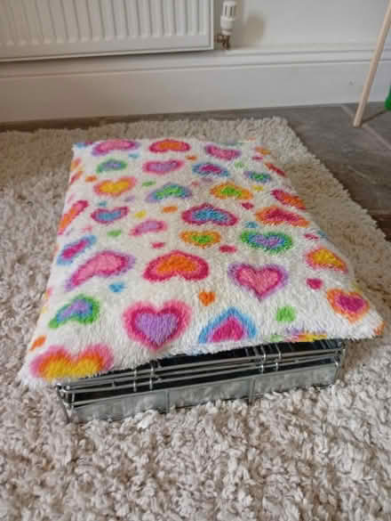 Photo of free Small dog cage & cushion (Buxworth SK23) #1