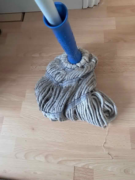 Photo of free Mop (Ha2 8pw) #3