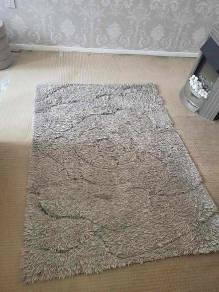 Photo of free Silver rug (Matlock DE4) #1