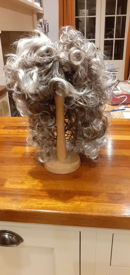 Photo of free Fancy dress/am-dram wig (GL6 (Chalford)) #3