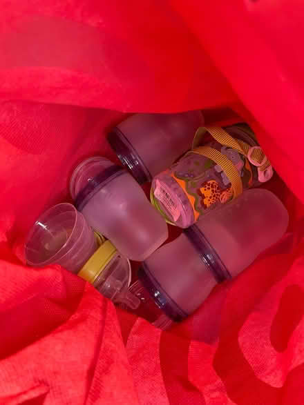 Photo of free Como Tomo Bottles (Trumbull) #1