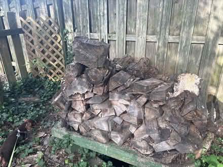 Photo of free Fire wood (Glendale) #2