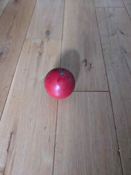 Photo of free Practice cricket ball (Streatham SW16) #1