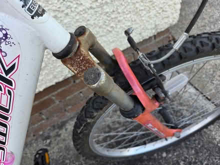 Photo of free Bicycle (Carryduff BT27) #4