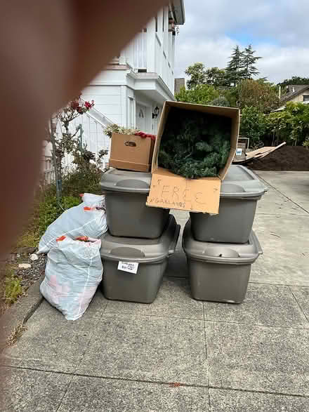 Photo of free Christmas Decor (Petaluma) #1