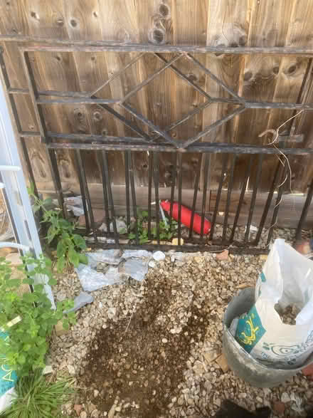 Photo of free Metal gates (Oxford OX3) #1