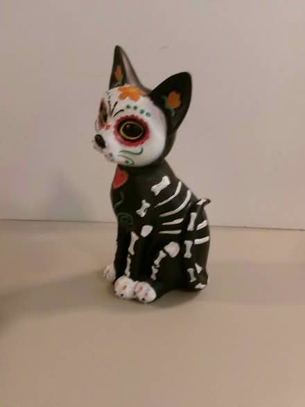 Photo of free Mardi Gras Cat (Northwest Frederick) #1
