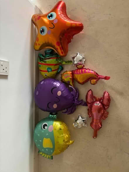 Photo of free Balloons (Newton/novena) #1