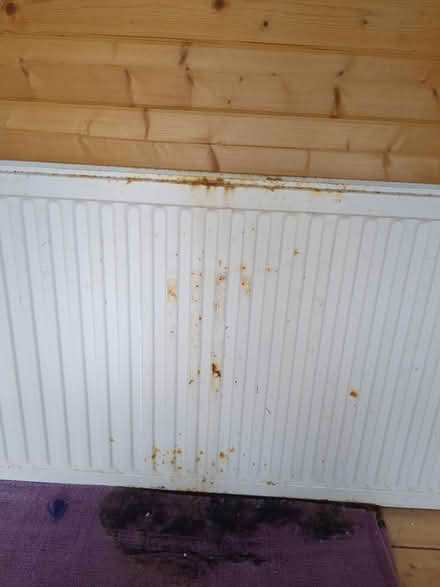 Photo of free 145cm x 60cm Radiator (St George, Bristol BS5 7) #2