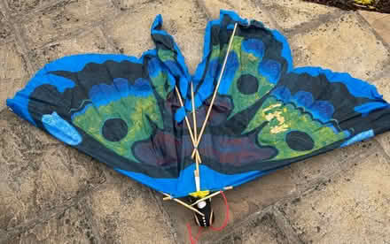 Photo of free 2 kites (Leckhampton GL53) #4