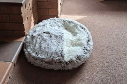 Photo of free 2 new cat or small dog beds (NN15) #1
