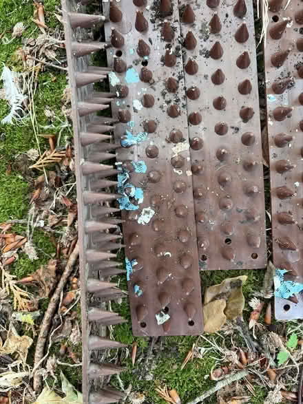 Photo of free 7 Prikka strips (Dinton SP3) #2