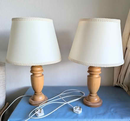 Photo of free Two vintage lamps (BD20 5NE) #1