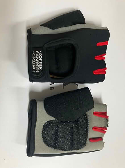 Photo of free gym gloves (Britannia/Terry Fox) #1