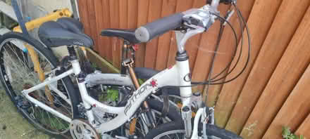 Photo of free Python Daytona Bike (Upper Walthamstow area E17) #1