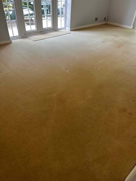 Photo of free Cream carpet with underlay (Billericay CM12) #4