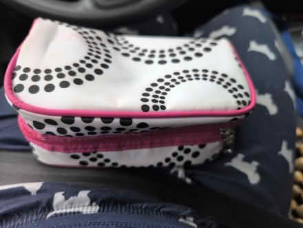 Photo of free Travel pouch (Britannia) #1