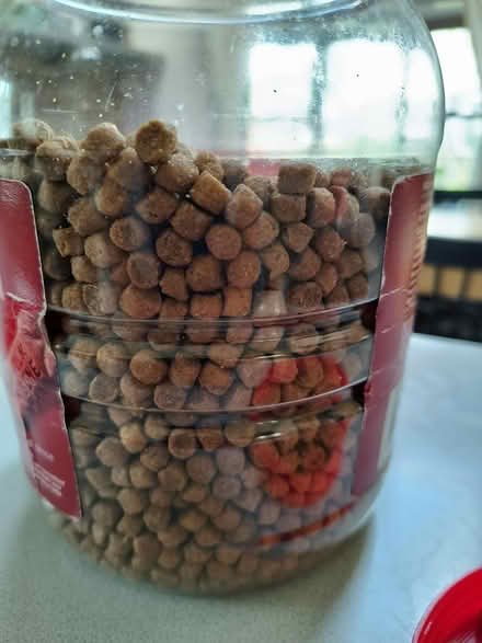 Photo of free ~2lbs Costco small dog kibble (near Maryvale Park) #1