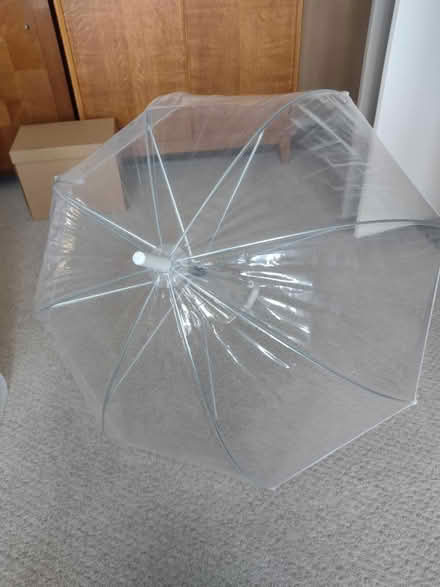 Photo of free Clear plastic umbrella (Addiscombe CR0) #1