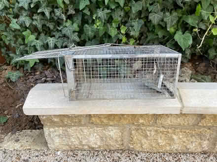 Photo of free Traps (Radley Green) #1