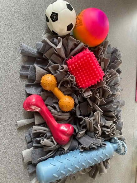 Photo of free Snuffle mat and dog toys (Chessington KT9) #1