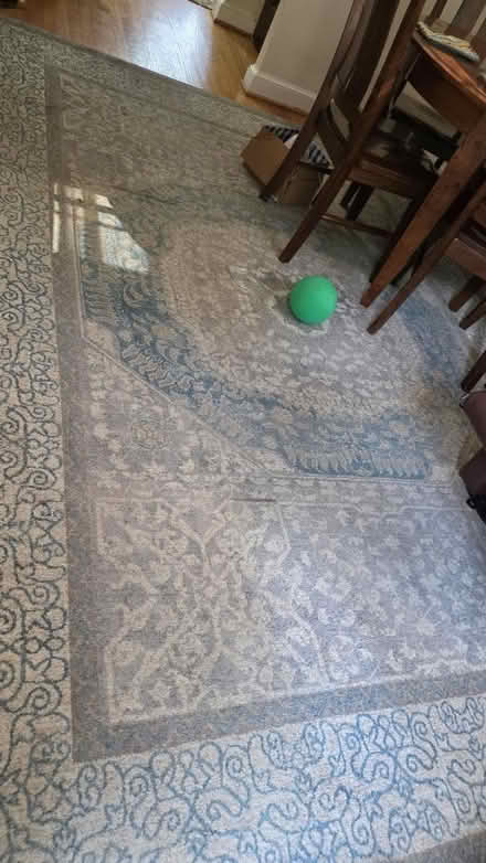 Photo of free Large Safewieh Area Rug (Glover Park) #1
