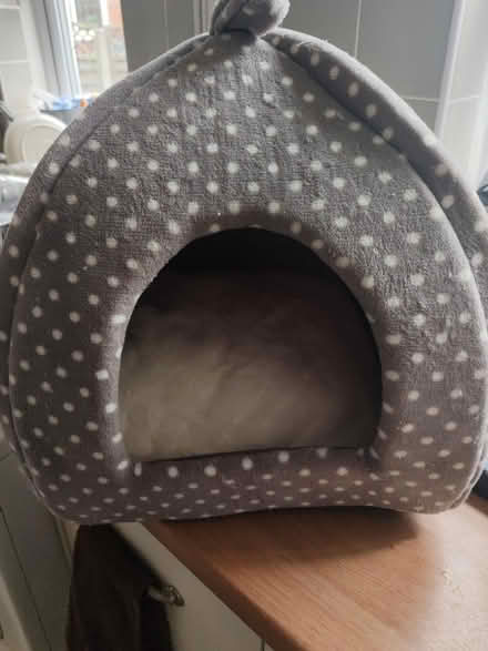 Photo of free Cat bed hardly ever used (Hereford HR4 0Jz) #3