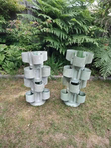Photo of free Ken Muir strawberry towers (Tilekiln TN38) #1