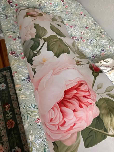 Photo of free 5 x 7 thin carpet (Roosevelt) #1