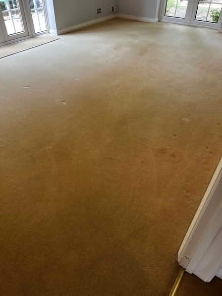 Photo of free Cream carpet with underlay (Billericay CM12) #2