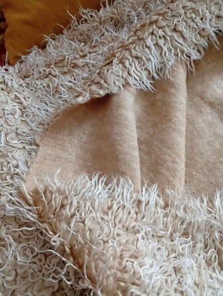 Photo of free Large fake fur throw (Buxworth SK23) #3