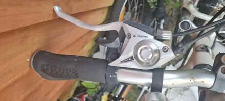 Photo of free Python Daytona Bike (Upper Walthamstow area E17) #3