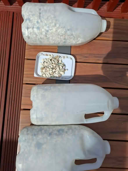 Photo of free Goldfish Tank Gravel 7.5 kg (Cosham PO6) #1