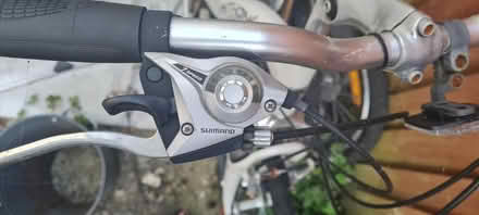 Photo of free Python Daytona Bike (Upper Walthamstow area E17) #4