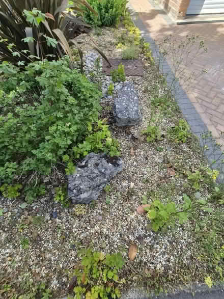 Photo of free Big driveway boulders and stones (Tewin) #3