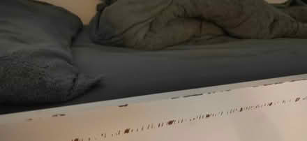 Photo of free loft bed (Carterknowle S7) #4