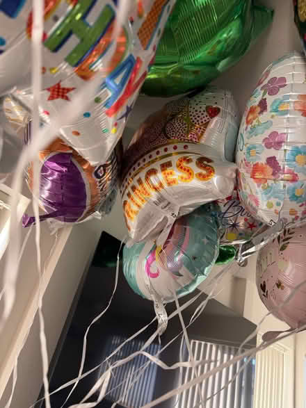 Photo of free 24 balloons (Boise Towne square) #3