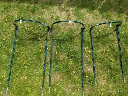Photo of free Plant supports (6 large, 3 medium) (Oxford OX3) #1