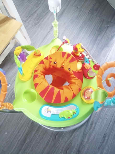 Photo of free Fisher Price Jumparoo (Belle Isle LS10) #4