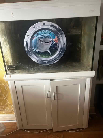 Photo of free Fish tank (Orpington BR5) #1